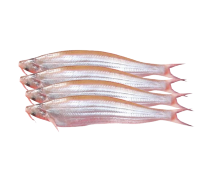 Kajoli Fish 250gm (Frozen)