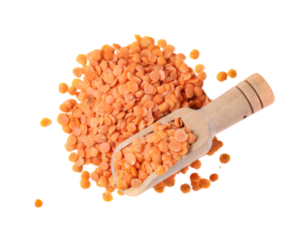 Masoor Dal / Red Lentils – 1kg