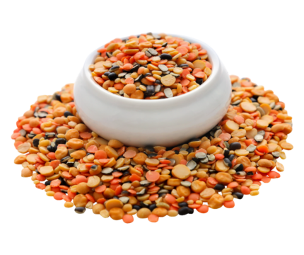 Mix Dal – 1kg