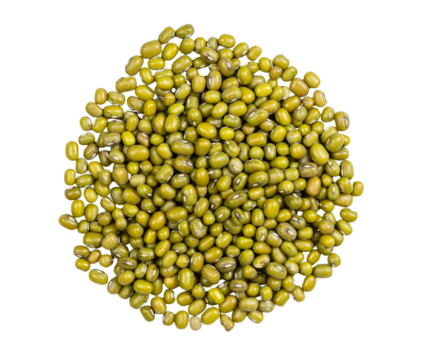 Whole Green Moong Beans / Hariyo Moong Dal / Shobuj Moog Dal – 1kg