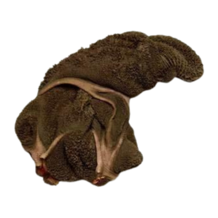 Beef Black Tripe – 1kg (Frozen)