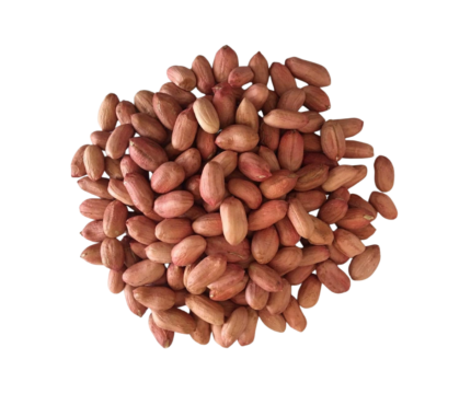 Peanuts/Badam – 500g