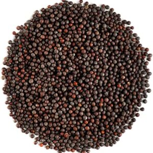 Mustard Seed Black (100g)