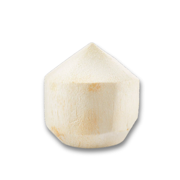 Fresh Coconut Drink – Natural & Refreshing - Image 1