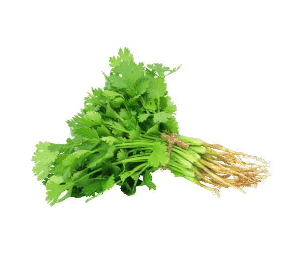 Coriander Leaves / Dhonia Patta – 100g (Fresh) - Image 1