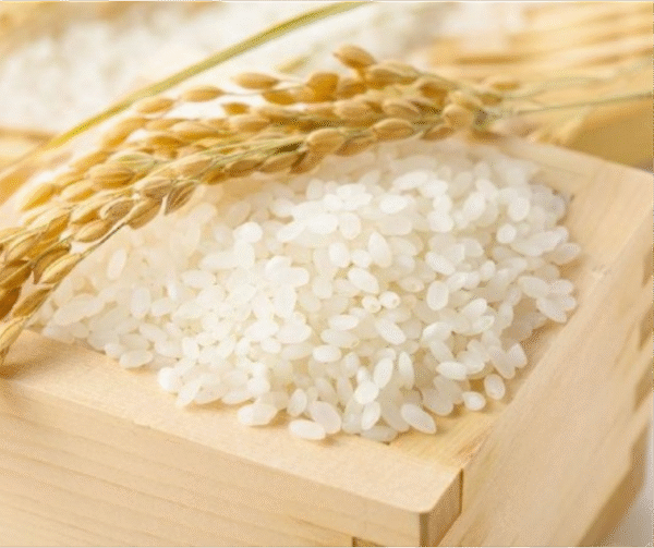 Japanese Rice – 10kg - Image 1