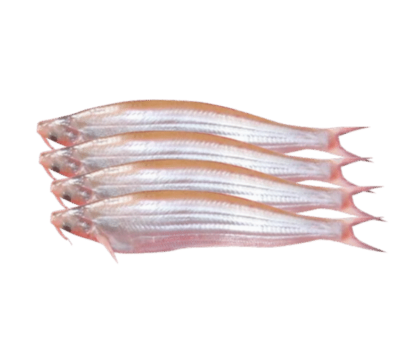 Kajoli Fish 250gm (Frozen) - Image 1