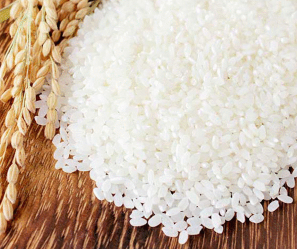 Japanese Rice 5 KG_Koshihikari - Image 1