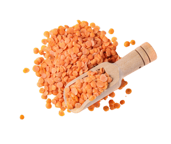 Masoor Dal / Red Lentils – 1kg - Image 1