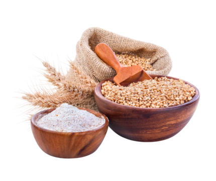 Padma Wheat Flour/Gahunko Pitho/Atta – 1kg
