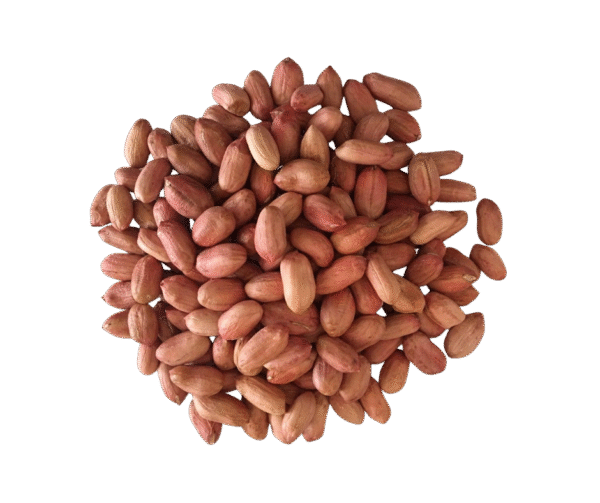 Peanuts/Badam – 500g - Image 1