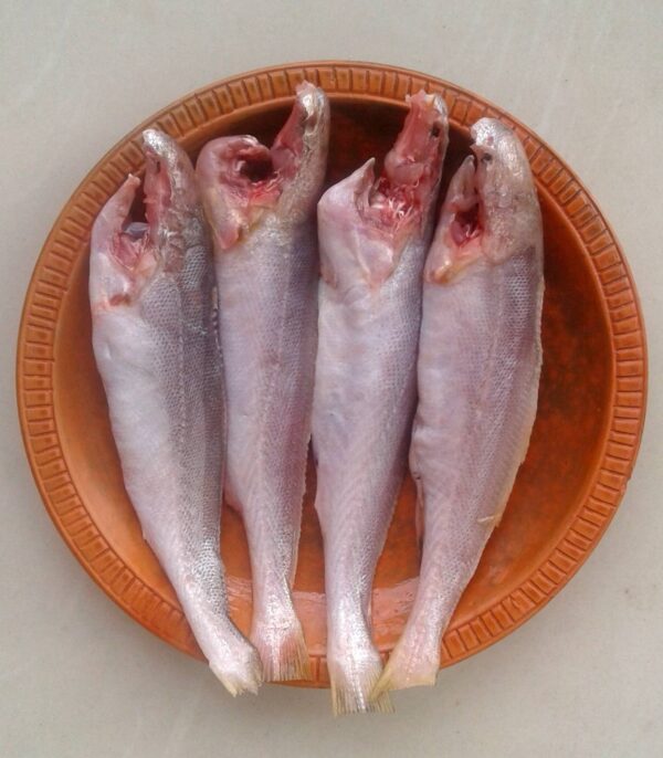 Poa Fish Block (500gm) - Image 1