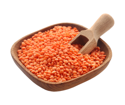 Masoor Dal / Red Lentils – 1kg