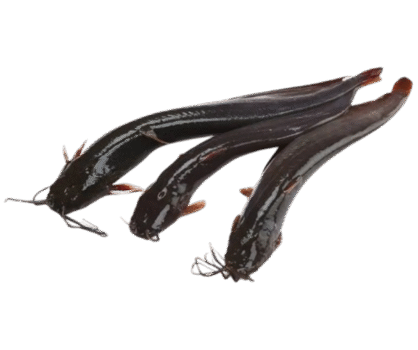 Shing Fish – 600g - Image 1