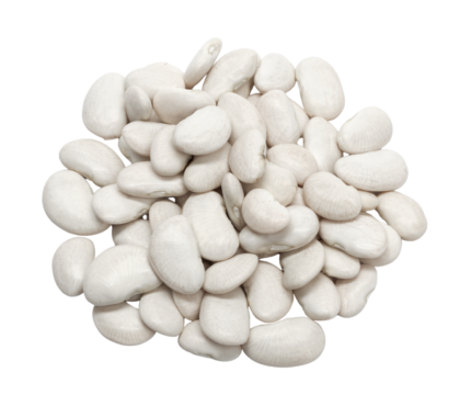 White Kidney Beans / Seto Rajma / Sada Rajma – 1kg