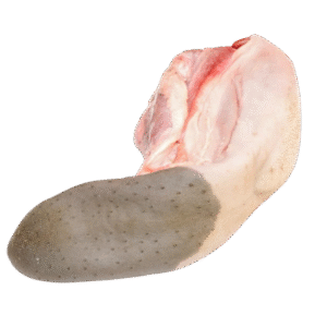 Frozen Beef Tongue / গরুর টাং /ビーフ タング – 1kg