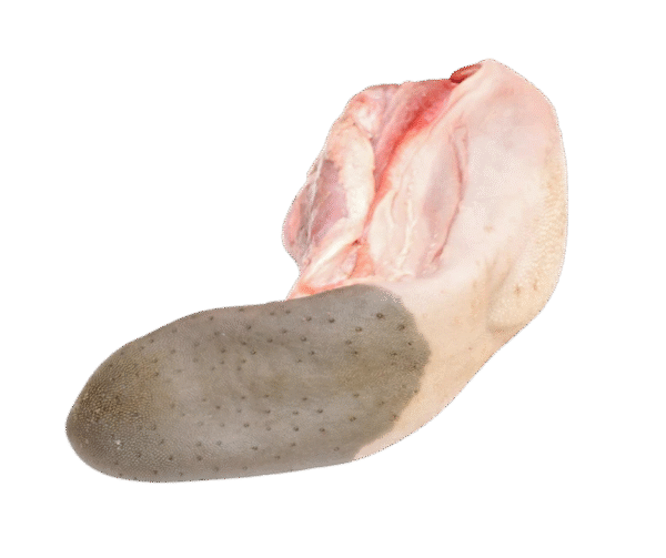 Frozen Beef Tongue / গরুর টাং /ビーフ タング – 1kg - Image 1