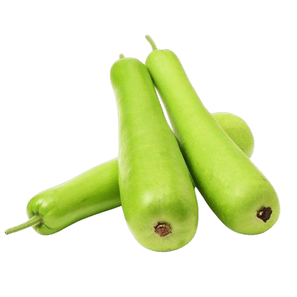 🥒 Bottle Gourd / लौका / লাউ / ヒョウタン - Image 1