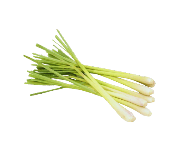 Frozen Lemongrass – 200g - Image 1