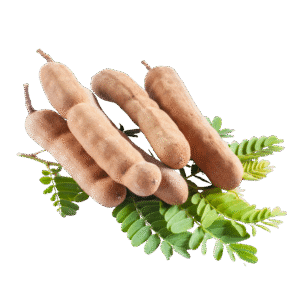 Fresh Tamarind (Imli) – 1kg