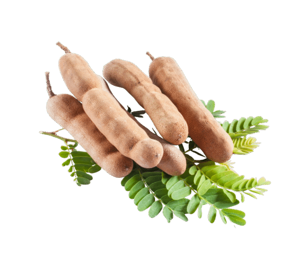 Fresh Tamarind (Imli) – 1kg - Image 1