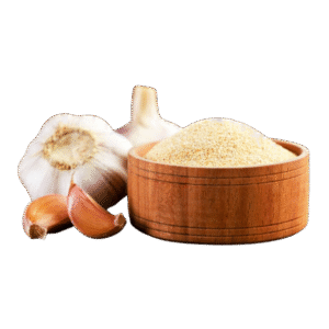 Padma Garlic Powder – 100g