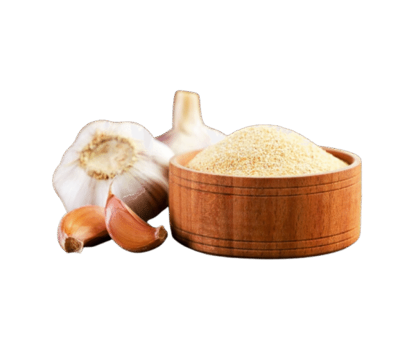 Padma Garlic Powder – 100g - Image 1