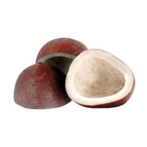 Coconut Half Cut – 100g