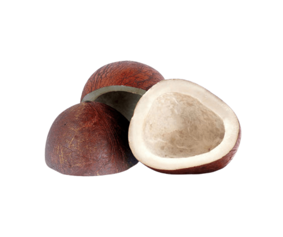 Coconut Half Cut 100g Coconut Half Cut – 100g - Image 1