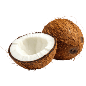 Fresh Coconut – 1 Piece