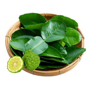 INA Daun Jeruk Purut Beku (Frozen Kaffir Lime Leaves) – 100g