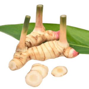 Lengkuas Beku (Frozen Galangal) – 200g