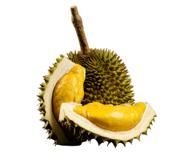Frozen Durian – 500g - Image 1