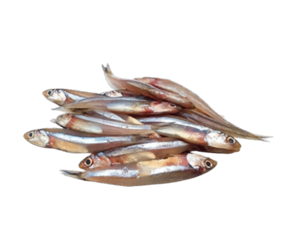 Keski Fish – 250g - Image 1