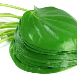 Fresh Pan/Betel leaves 100gm (India)