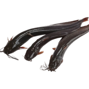 Shing Fish – 600g