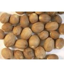 Nutmeg (Jaiphal / Meghunath) – 25g